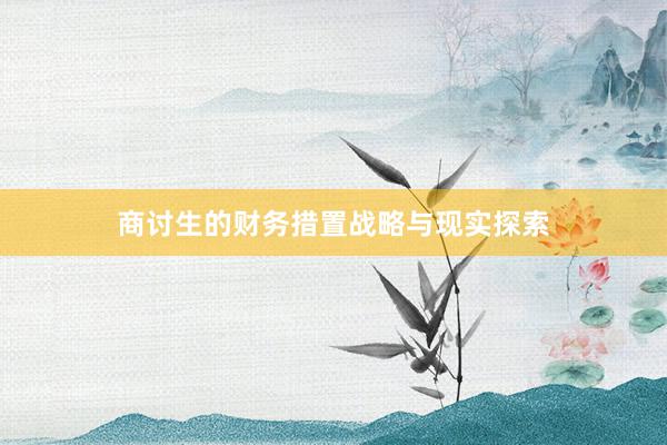 商讨生的财务措置战略与现实探索