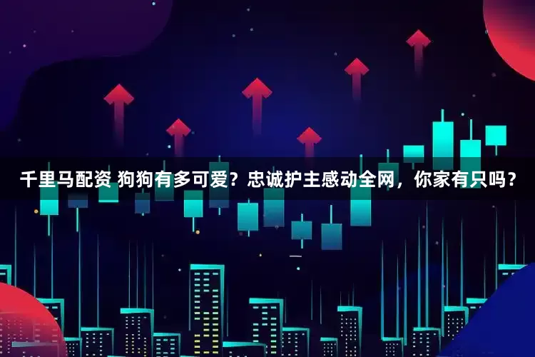 千里马配资 狗狗有多可爱？忠诚护主感动全网，你家有只吗？