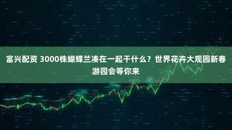 富兴配资 3000株蝴蝶兰凑在一起干什么？世界花卉大观园新春游园会等你来